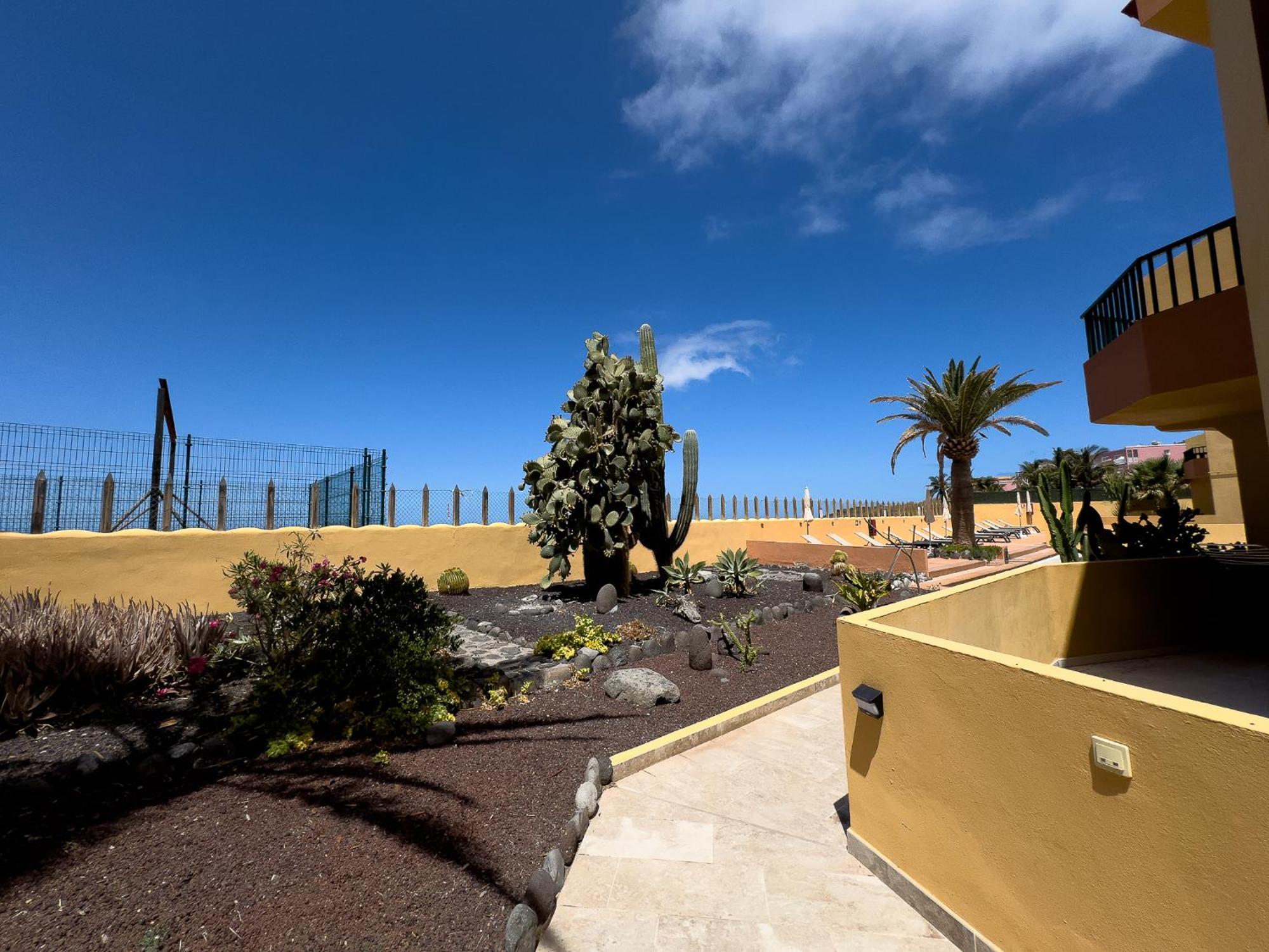 Complejo Las Tres Palmeras Valle Gran Rey Dış mekan fotoğraf