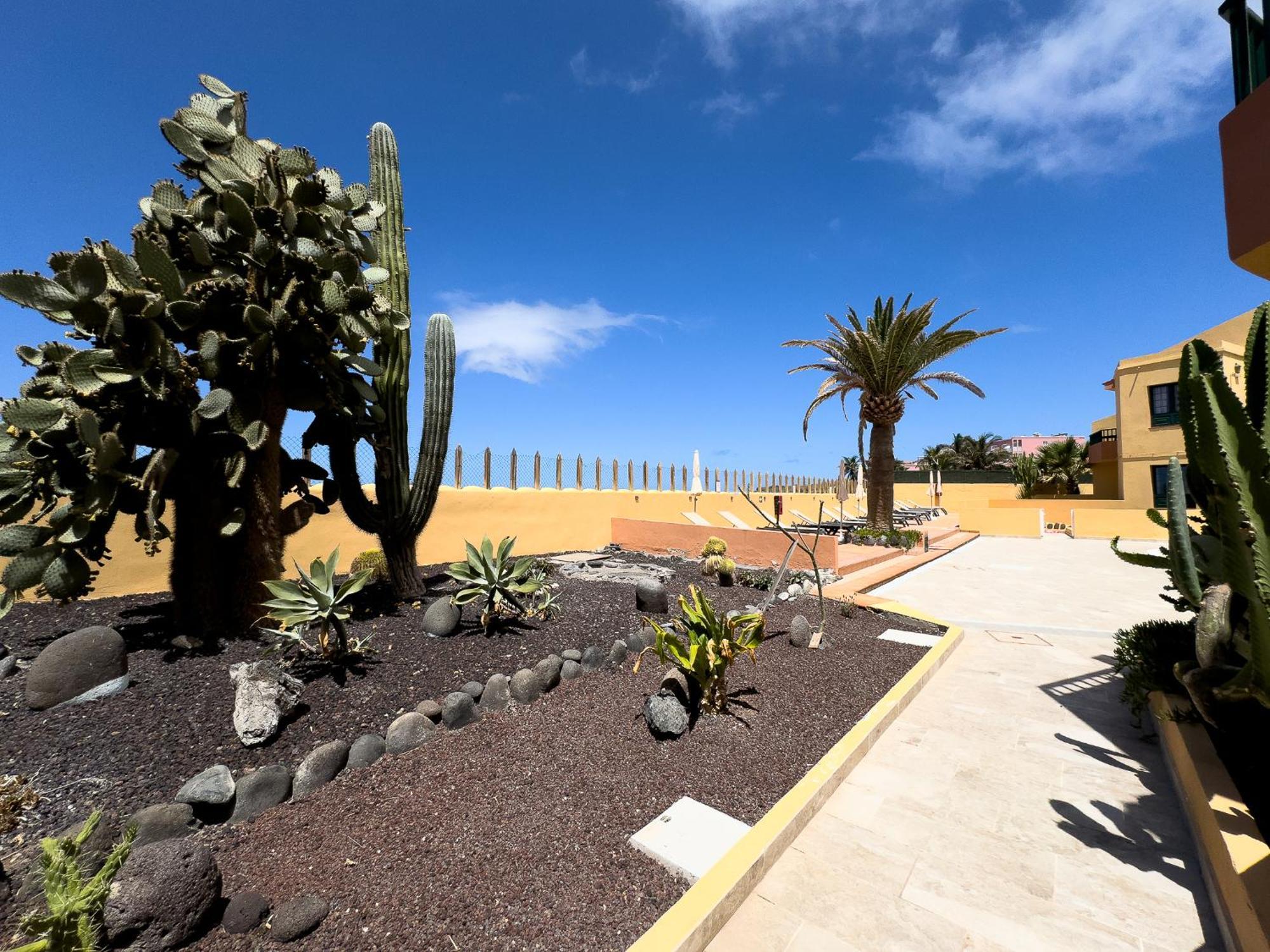Complejo Las Tres Palmeras Valle Gran Rey Dış mekan fotoğraf